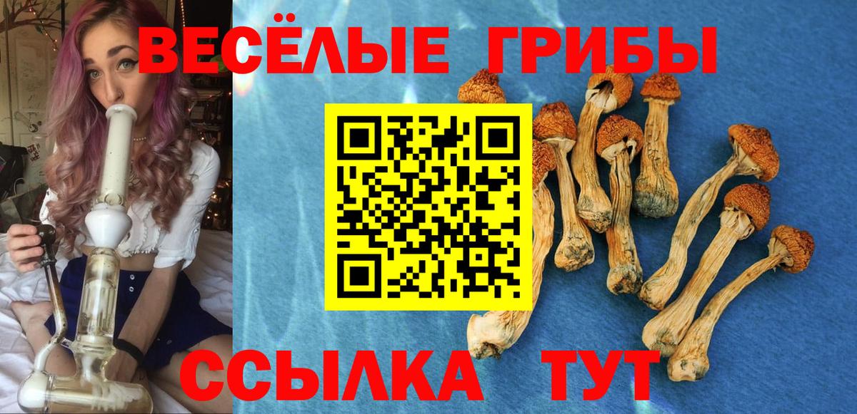 Галлюциногенные грибы ЛСД Рузаевка